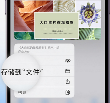 爱民apple维修中心分享iPhone文件应用中存储和找到下载文件