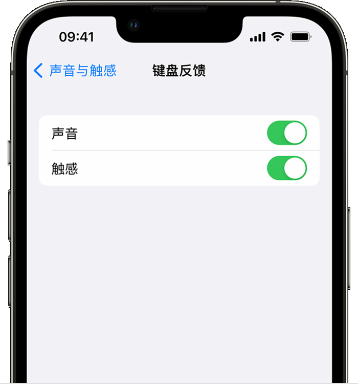 爱民苹果14维修店分享如何在 iPhone 14 机型中使用触感键盘 