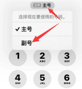 爱民苹果14维修店分享iPhone 14 Pro Max使用副卡打电话的方法 