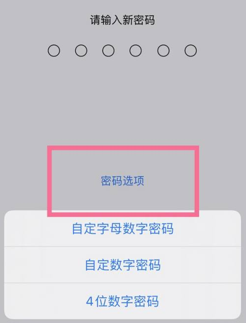 爱民苹果14维修分享iPhone 14plus设置密码的方法 