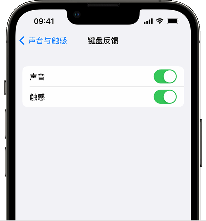 爱民苹果14维修分享iPhone 14 系列机型如何开启键盘声音或触感反馈 