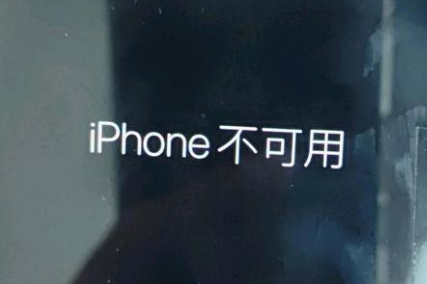 爱民苹果服务网点分享锁屏界面显示“iPhone 不可用”如何解决 