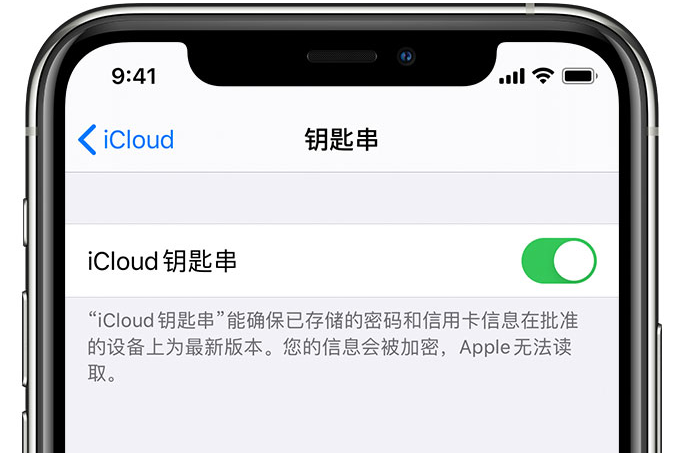 爱民苹果手机维修分享在 iPhone 上开启 iCloud 钥匙串之后会储存哪些信息 