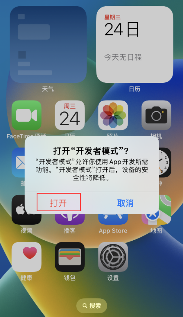 爱民苹果手机维修分享如何打开开发者模式 