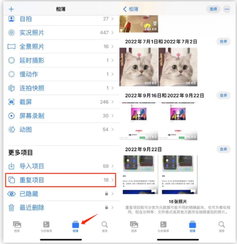 爱民苹果手机维修分享iOS 16 中相册重复项目功能使用方法 