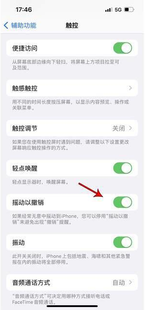 爱民苹果手机维修分享iPhone手机如何设置摇一摇删除文字 