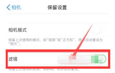 爱民苹果13维修分享iPhone13拍照有绿点是怎么回事 