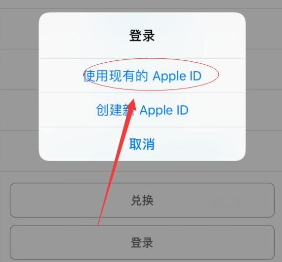 爱民苹果手机维修分享两台iPhone设备可以同时登录一个Apple ID吗 