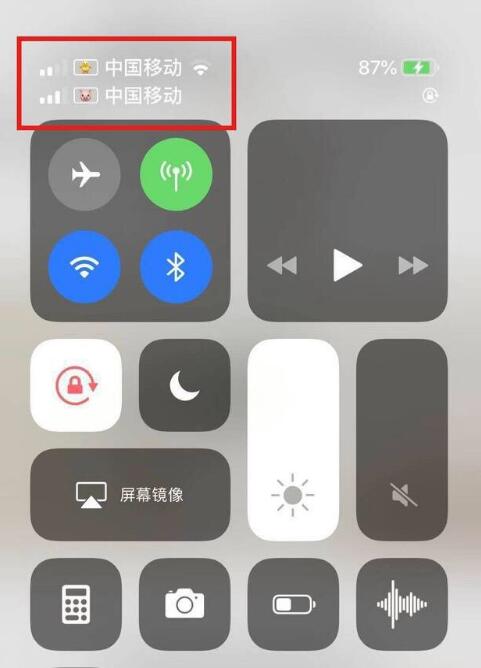 爱民苹果手机维修分享为 iPhone 12 双卡设置标签 