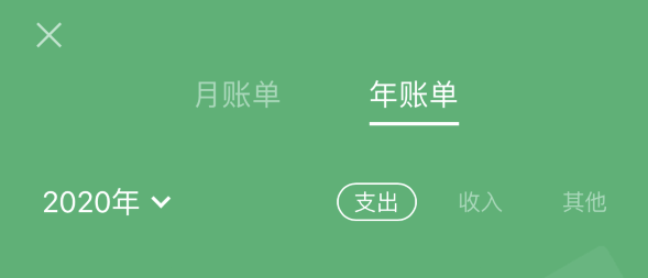 爱民苹果手机维修分享如何在 iPhone 上查看支付宝和微信年支出账单 