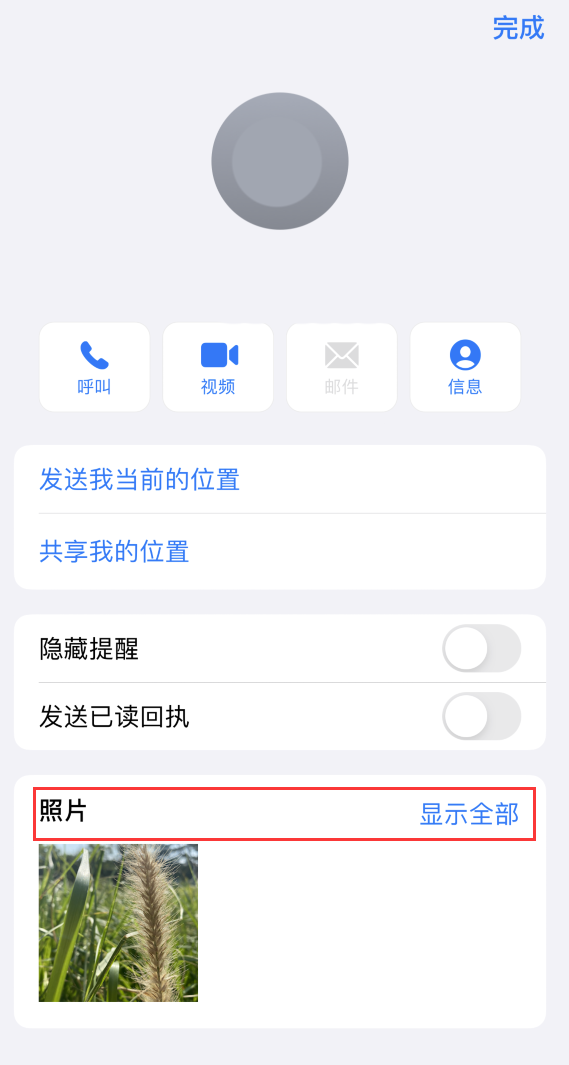 爱民苹果手机维修分享如何快速查找 iMessage 信息中的图片等附件 